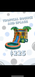 Tropical bounce and splash wet/dry